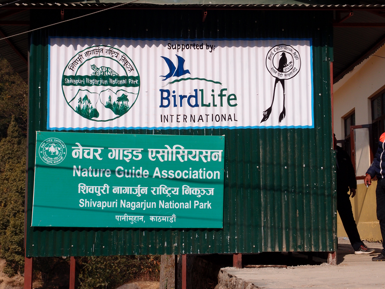 2018-01-16 12 Uhr - Im Shivapuri Nagarjun National Park (Nagi Gumba) (Foto) 